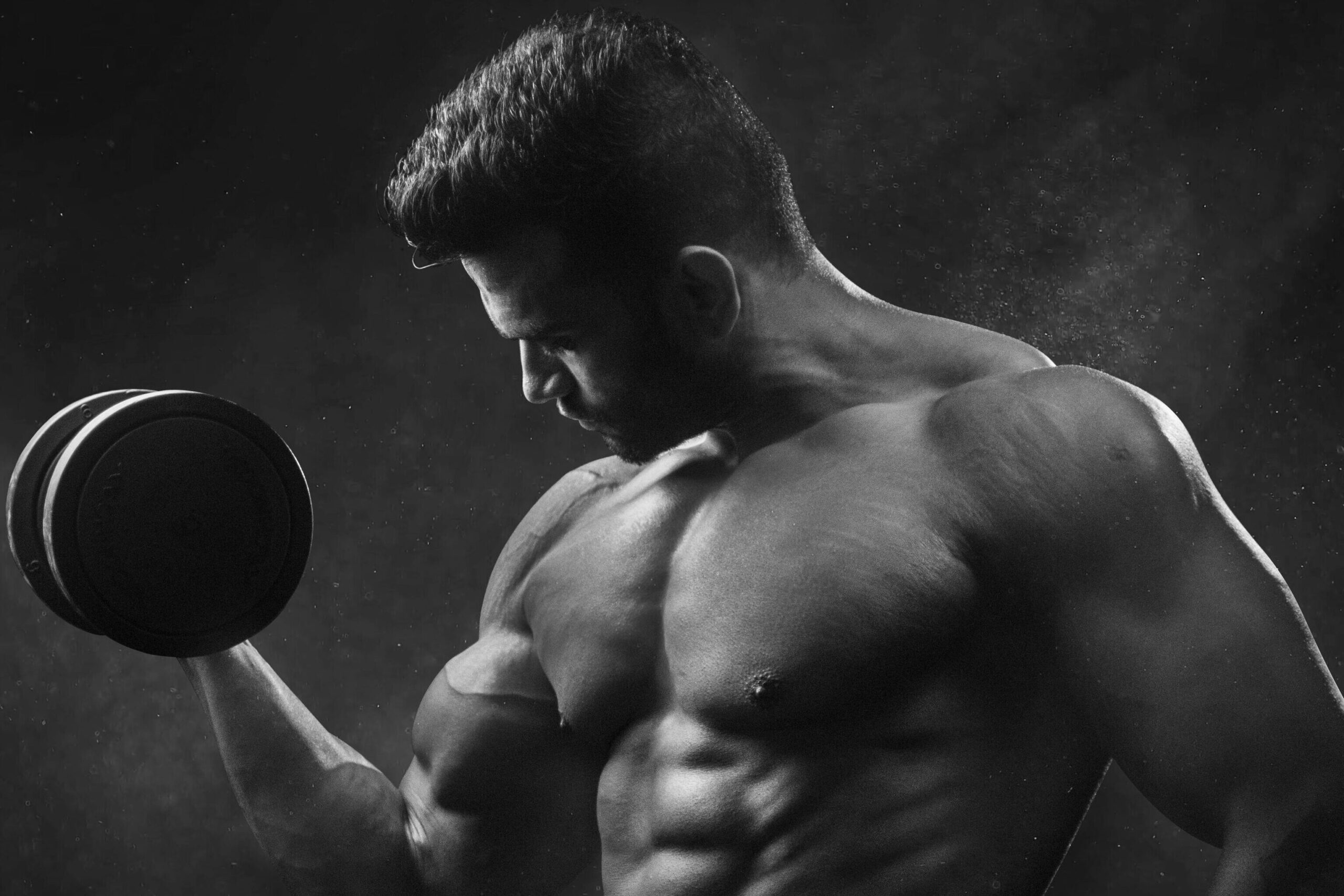 Protein Supplements for Muscle Growth